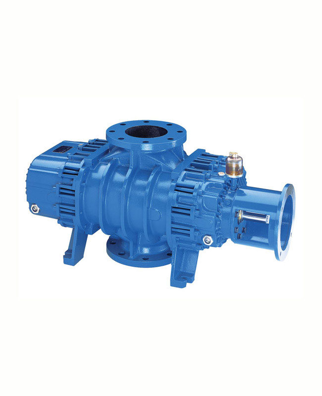 High vacuum lobe blower air-ends RB-AV series
