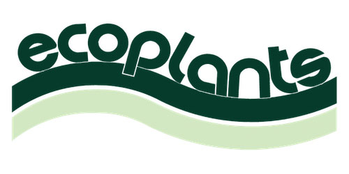 Ecoplants
